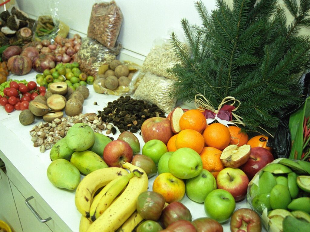 Ananaspflanze mit Frucht