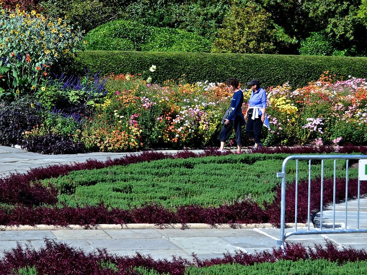 Bunte Blumen in einem Gartencenter aufgereiht