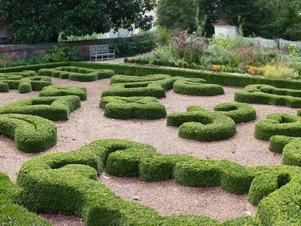 Eine Hecke an der Grundstücksgrenze zwischen zwei Gärten