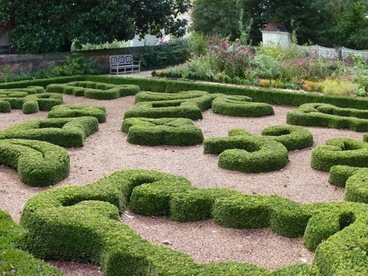Eine Hecke an der Grundstücksgrenze zwischen zwei Gärten