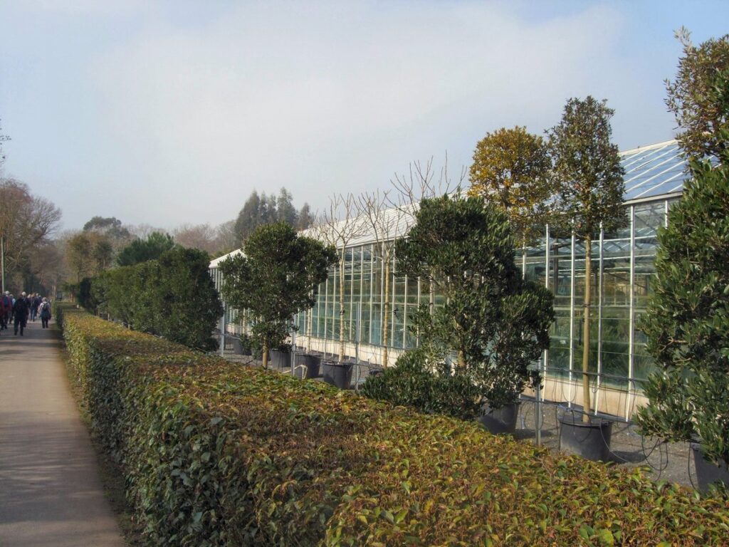 Architectural Plants Greenhouse - geograph.org.uk - 2849869