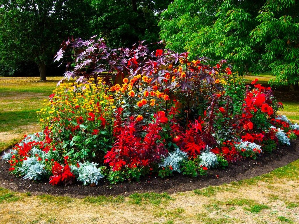 A Flower Bed in Kew Gardens - London