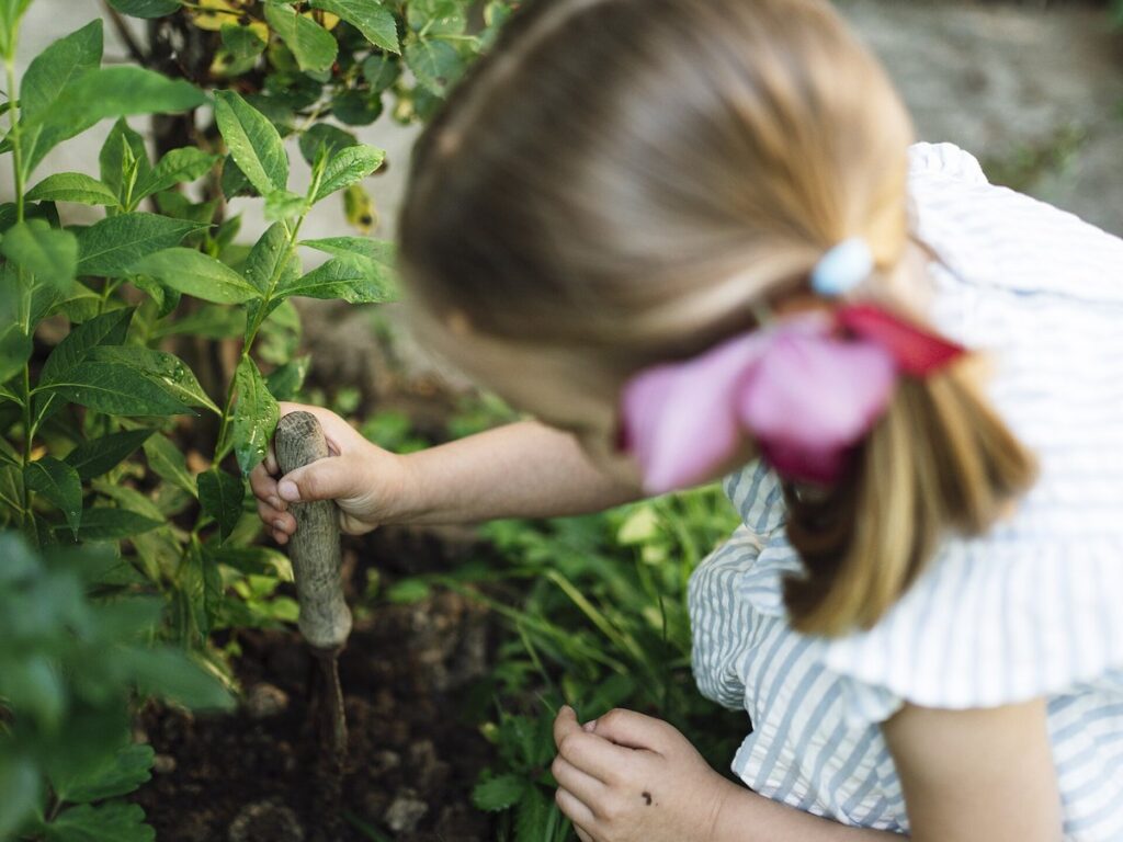 Child digs in garden soil with small tool