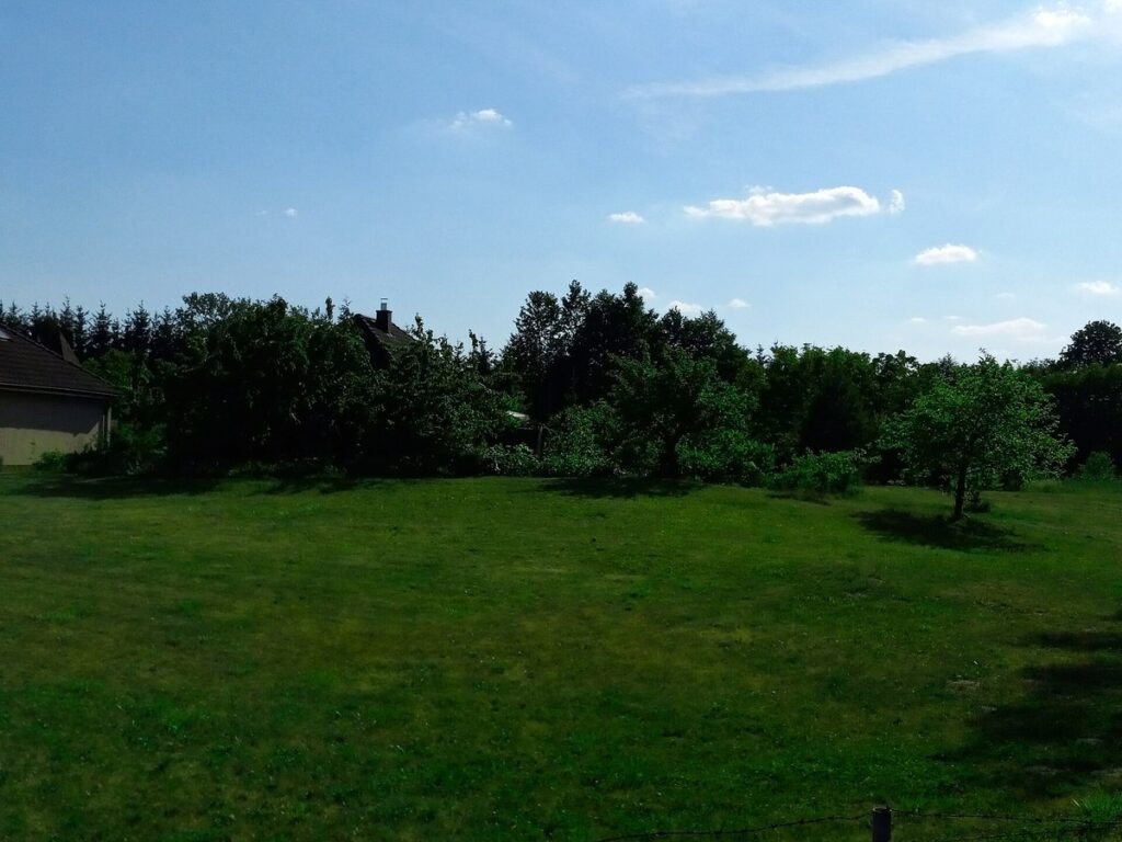 Freshly mowed lawn in the Polish town of Wabrzezno (Voubzhezno)