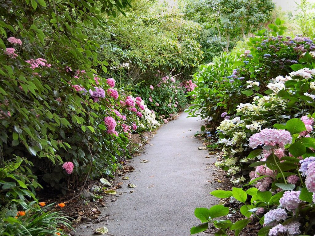 Bunt bepflanzter Garten mit schmalem Weg und blühenden Stauden