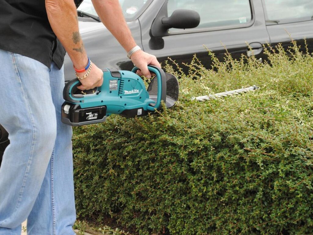 Hecke wird mit einer Heckenschere in Form gebracht