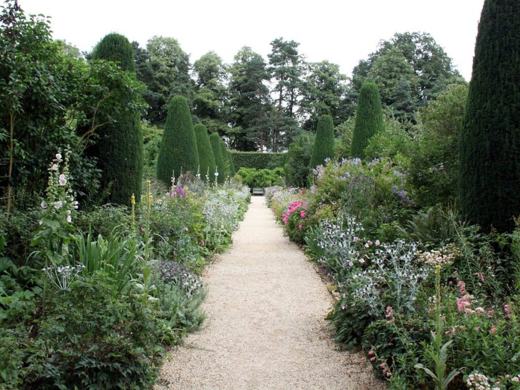 Geschnittene grüne Hecke in einem Garten