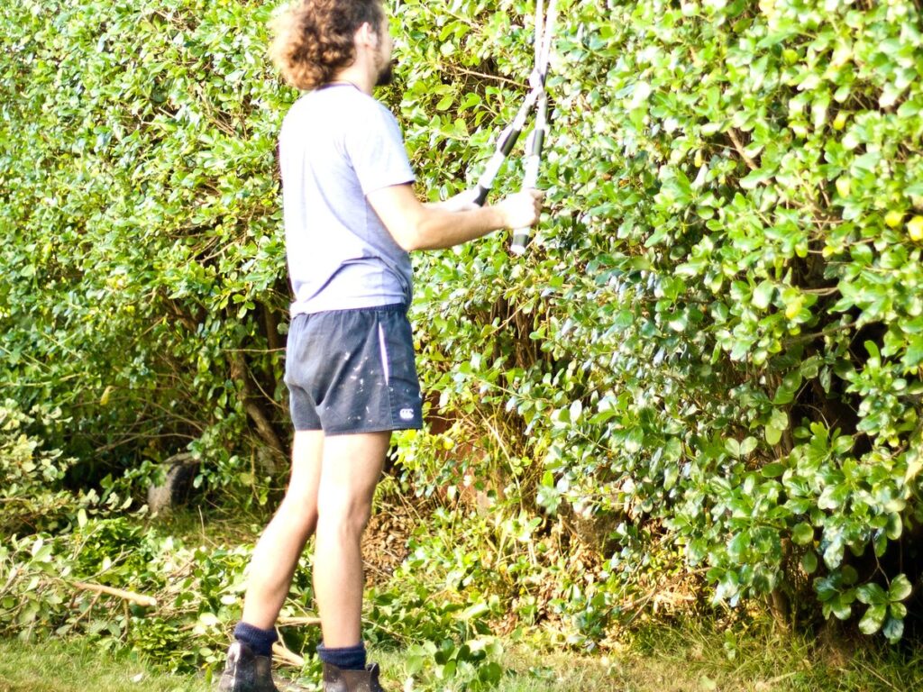 Gärtner schneidet mit einer elektrischen Heckenschere eine hohe grüne Hecke