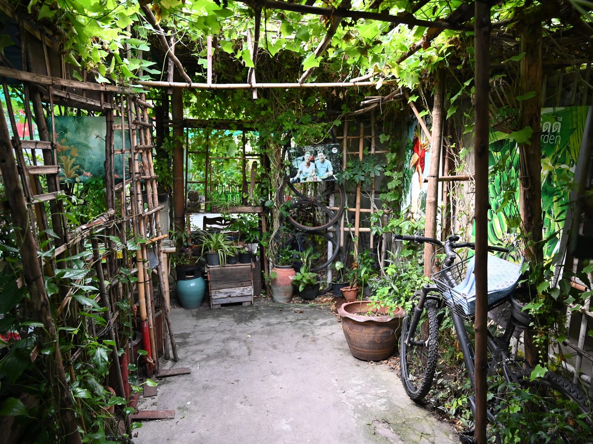 Ein Rankgerüst mit Kletterpflanzen in einer begrünten Gartenecke