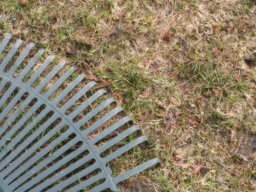 Rechen liegt auf einer Rasenfläche im Frühjahr mit ausgeharktem Moos